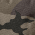 Black Ink Camo swatch