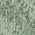 Fern swatch