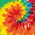 Rainbow swatch