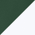 Forest Green/ White swatch