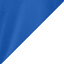 True Royal/ White swatch