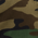 Camo swatch