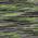 Pace Yellow Space Dye swatch