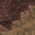 Fawn/ Espresso Brown swatch