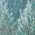 Forest swatch