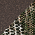 Realtree Edge/ Brown swatch