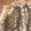 Realtree Edge swatch