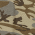 Desert Camo swatch