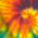 Rainbow swatch