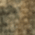 Real Tree Max-7 swatch