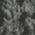 Graphite swatch