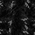 Deep Black swatch