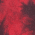 Black/ Red swatch