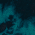 Black/ Teal swatch