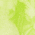 Lemon Lime swatch