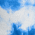 True Royal swatch