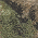 Mossy Oak DNA/ Khaki swatch