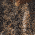 Realtree Edge/ Deep Black swatch