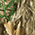 Realtree Edge swatch