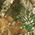 Realtree Edge swatch