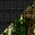 Deep Black/ Realtree Edge swatch