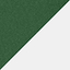 Forest Green/ White swatch
