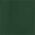 Forest Green swatch