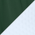 Forest Green/ White swatch