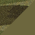 Olive Drab Green swatch