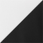 White/ Black swatch