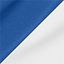 True Royal/ White swatch
