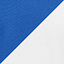 True Royal/ White swatch