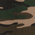 Military Camo swatch