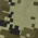Green Camo swatch