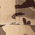 Desert Camo swatch