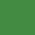Cactus swatch