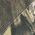 Mossy Oak Break-Up Country swatch