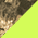 Mossy Oak Break-Up Country/ Neon Yellow swatch
