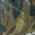 Mossy Oak New Break-Up swatch