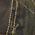 Mossy Oak New Break-Up swatch
