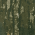 Mossy Oak New Break-Up swatch