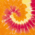 Blaze Rainbow swatch