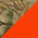 Realtree Xtra/ Neon Orange swatch