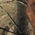 Realtree Hardwoods swatch