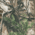 Realtree Xtra swatch